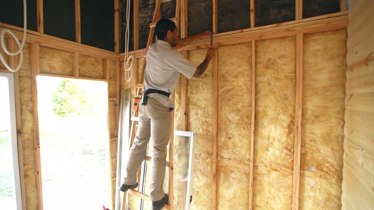 Best Batt and Roll Insulation  in Plano, IL