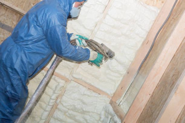 Best Garage Insulation  in Plano, IL