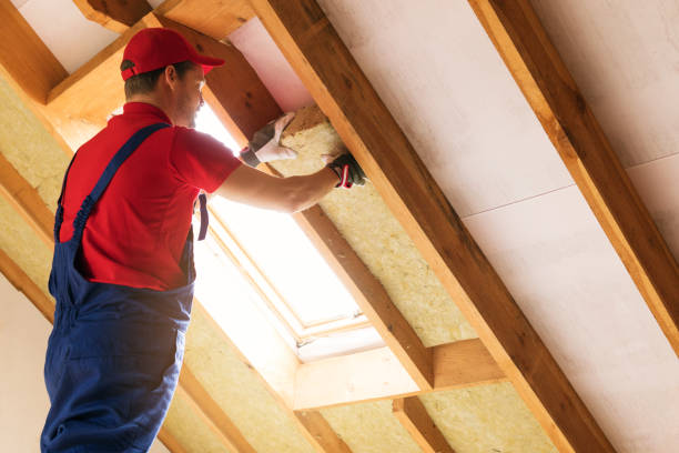 Best Basement Insulation  in Plano, IL